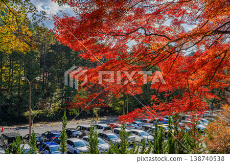 Scenery of Aichi Prefectural Forest in Shinshiro City (Aichi Prefecture) Scenery of Aichi Prefectural Forest in Shinshiro City (Aichi Prefecture) 138740538