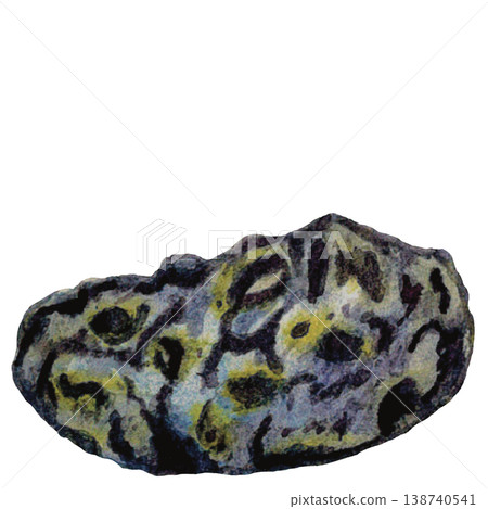 Textured Marine Rock Study Textured Marine Rock Study 138740541
