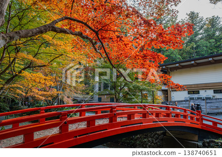 靜岡縣遠富國一宮市小國神社的秋葉 靜岡縣遠富國一宮市小國神社的秋葉 138740651