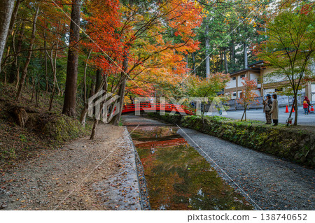 靜岡縣遠富國一宮市小國神社的秋葉 138740652