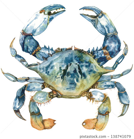 Blue Crab Isolated on Black Background Sea Life Blue Crab Isolated on Black Background Sea Life 138741079