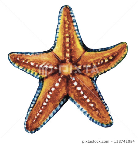 Starfish Isolated on Black Background Sea Life Image Starfish Isolated on Black Background Sea Life Image 138741084