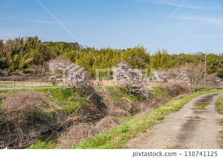 滋賀郡大津市荻町寧靜的春日景色 滋賀郡大津市荻町寧靜的春日景色 138741125