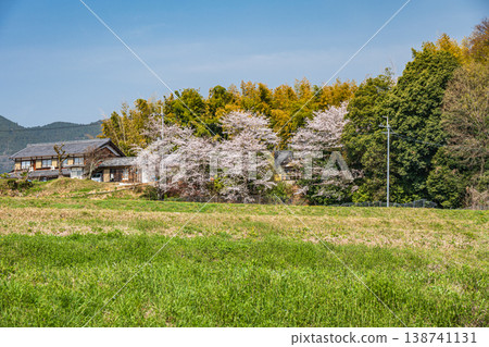 Springtime rural landscape, Ogi, Otsu City, Shiga Prefecture 138741131