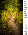 Winding Trail Through the Forest Woods 138741727