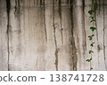Vibrant Greenery Thrives on Urban Concrete 138741728