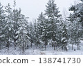 Winter Wonderland: Snow-Covered Forest Landscape 138741730