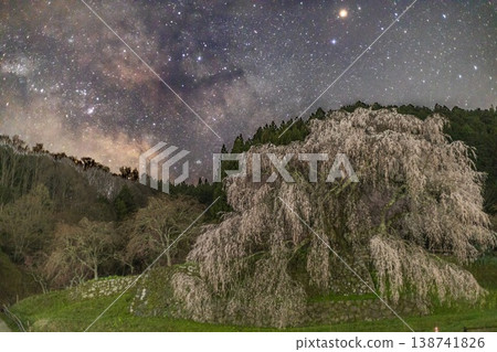 垂淚櫻花之夜 垂淚櫻花之夜 138741826