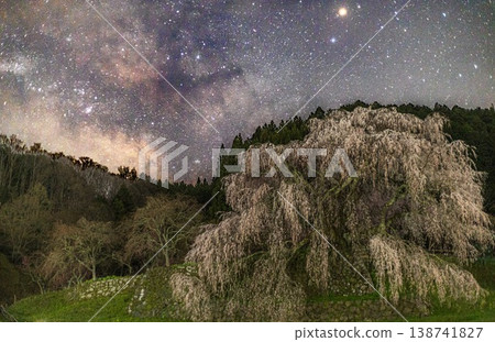 The Milky Way hanging over a cherry tree 138741827