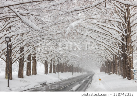 Snowy morning road Snowy morning road 138742332