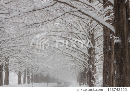 Snow-piled trees Snow-piled trees 138742333