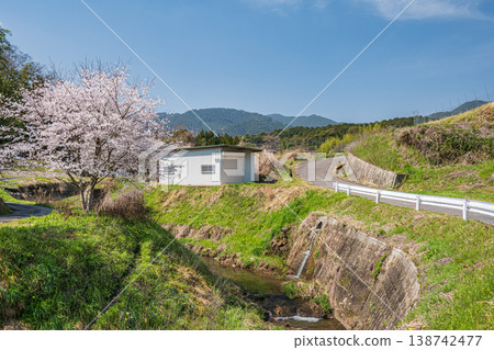 Spring scenery in Ogi, Otsu City, Shiga Prefecture Spring scenery in Ogi, Otsu City, Shiga Prefecture 138742477