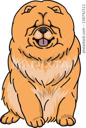 鬆獅犬彩色插圖 鬆獅犬彩色插圖 138742511