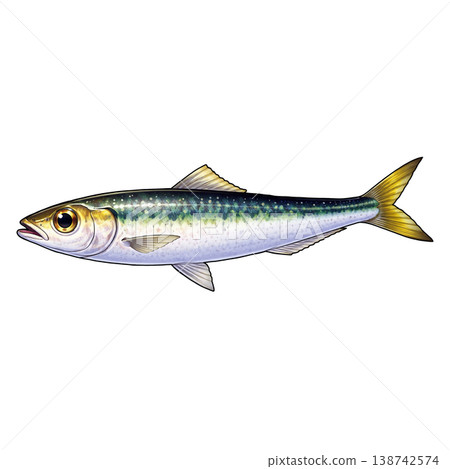 沙丁魚 138742574