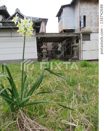 平忠則的手臂土堆 平忠則的手臂土堆 138742686