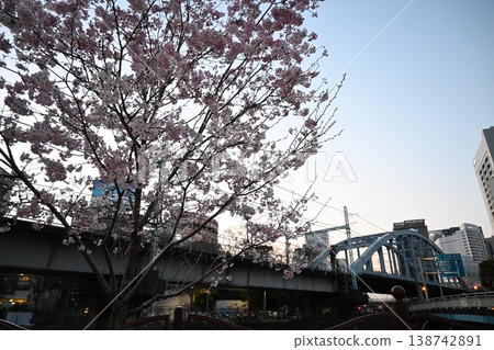 櫻花在城市 櫻花在城市 138742891