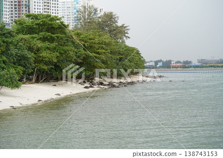 Singapore Coastline View with Trees and White Sand Beach 138743153