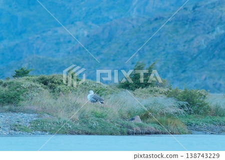 [Patagonia] Grey Lake 138743229