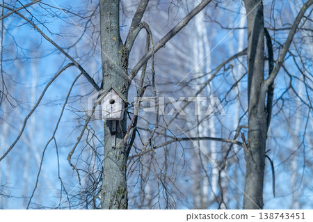 Timeless bird homes reflect resilience and unwavering strength. Historical wooden bird shelters represent ongoing hope and strength in difficult and testing circumstances Timeless bird homes reflect resilience and unwavering strength. Historical wooden bird shelters represent ongoing hope and strength in difficult and testing circumstances 138743451