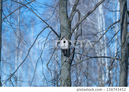 Solitary nest on slender winter tree. Minimalist scene with single birdhouse on birch tree. Serene winter landscape featuring lone wooden birdhouse on slender birch trunk 138743452