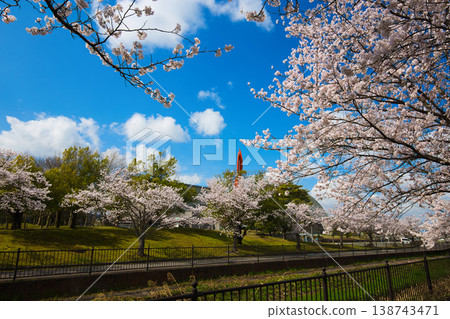 A view of the concert hall with cherry blossoms in full bloom. A view of the concert hall with cherry blossoms in full bloom. 138743471