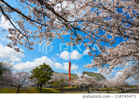 A view of the concert hall with cherry blossoms in full bloom. A view of the concert hall with cherry blossoms in full bloom. 138743473