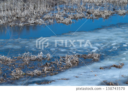 Blue spring pond with melting ice, foreground reeds and thawing marsh create tranquil earlyseason scene soft light and icy textures highlight transition from winter to spring 138743570