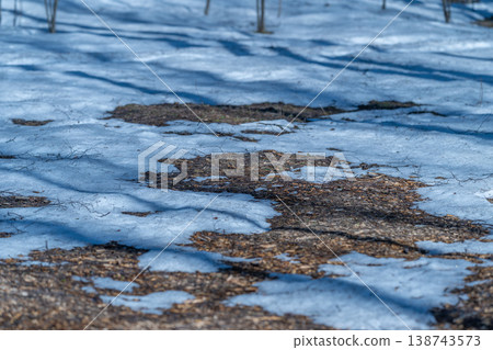 Frozen patches dissolve to reveal moist dark soil and organic debris. Thawing snow uncovers intricate soil patterns accompanied by lingering leaf litter and gentle tree shadows Frozen patches dissolve to reveal moist dark soil and organic debris. Thawing snow uncovers intricate soil patterns accompanied by lingering leaf litter and gentle tree shadows 138743573