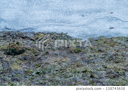 Moss and melting snow detail, damp spongy ground with sparkling ice crystals, subtle green revival and saturated soil, spring melt water pooling in tiny hollows Moss and melting snow detail, damp spongy ground with sparkling ice crystals, subtle green revival and saturated soil, spring melt water pooling in tiny hollows 138743638