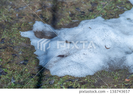 Snow melts gradually. Damp forest floor covered with melting snow and tiny water droplets. Soaked earth beneath trees with residual snow and delicate moisture in air 138743657