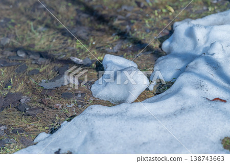 Delicate ice mound melting beside emerging green shoots and tiny buds, closeup shows glistening ice crystals, fragmented snow edges and fresh plant tips pushing through cold ground 138743663
