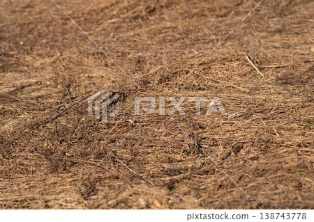 Lifeless upland areas featuring limited plant life and intense sunlight exposure. Unfertile elevated regions marked by minimal vegetation and relentless solar radiation Lifeless upland areas featuring limited plant life and intense sunlight exposure. Unfertile elevated regions marked by minimal vegetation and relentless solar radiation 138743778