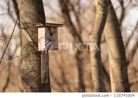Wooden nest on tree branch. Natural setting with rustic bird shelter. Peaceful countryside image showcasing aged birdhouse amidst leafless trunks and gentle sunlight 138743804