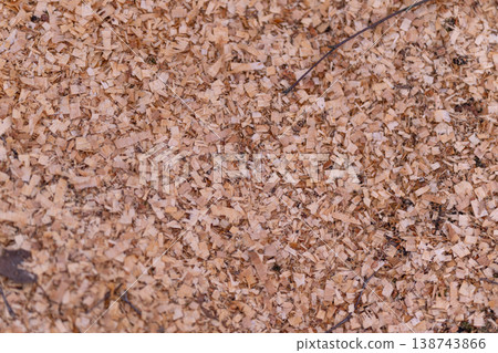 Wood chip landscape. Layer of wood particles interspersed with leaf and branch bits. Organic mulch surface covered with organic debris and soft underlying earth visible Wood chip landscape. Layer of wood particles interspersed with leaf and branch bits. Organic mulch surface covered with organic debris and soft underlying earth visible 138743866