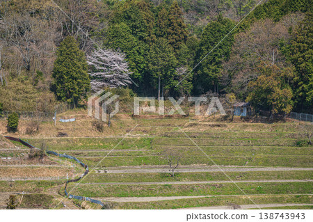 Springtime terraced rice fields in Ogi, Otsu City, Shiga Prefecture Springtime terraced rice fields in Ogi, Otsu City, Shiga Prefecture 138743943