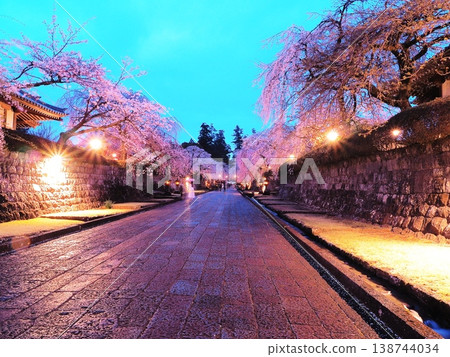 靜岡縣,大石寺:通往寺廟的道路兩旁是燈光璀璨、盛開的垂枝櫻花樹,攝於三月。 靜岡縣,大石寺:通往寺廟的道路兩旁是燈光璀璨、盛開的垂枝櫻花樹,攝於三月。 138744034