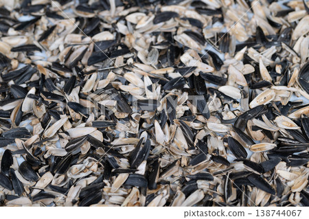 Organic material of sunflower husks prepared for soil improvement project. Recycled sunflower seed shells utilized in sustainable gardening and soil enhancement approaches 138744067