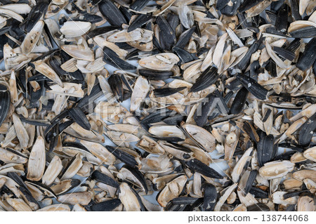 Closeup of textured sunflower seed shells with contrasting grain. Detailed closeup revealing intricate textures and soft hues of sunflower seed husks in tight composition 138744068