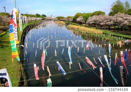 A collaboration of cherry blossoms and carp streamers... The Koinobori Festival at Tsuruuda River in Tatebayashi A collaboration of cherry blossoms and carp streamers... The Koinobori Festival at Tsuruuda River in Tatebayashi 138744189