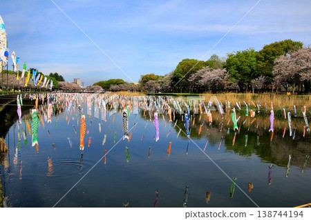 櫻花與鯉魚旗交相輝映…館林市鶴田川鯉魚旗節 櫻花與鯉魚旗交相輝映…館林市鶴田川鯉魚旗節 138744194