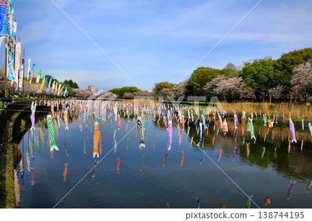 櫻花與鯉魚旗交相輝映…館林市鶴田川鯉魚旗節 櫻花與鯉魚旗交相輝映…館林市鶴田川鯉魚旗節 138744195