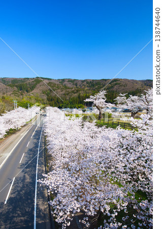 Sakura's season Sakura's season 138744640