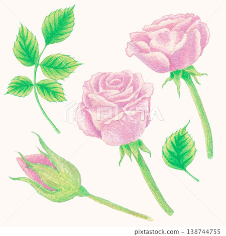 Rose watercolor floral arrangement delicate blossom art Rose watercolor floral arrangement delicate blossom art 138744755