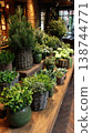 Winter display table high end cafe featuring lush green potted plants arranged beautifully creating calm and inviting atmosphere 138744771