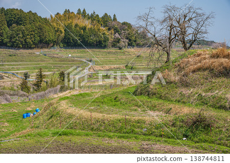 滋賀縣大津市小木町的春日梯田 滋賀縣大津市小木町的春日梯田 138744811