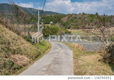 Rice Terraces Road, Ogi, Otsu City, Shiga Prefecture 138745051