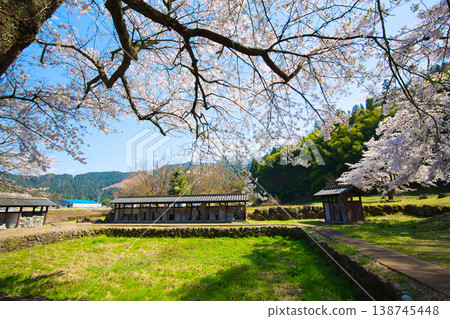 Springtime at the Ichijōdani Asakura Clan Ruins and Nishiyama Kōshōji Temple Site 138745448