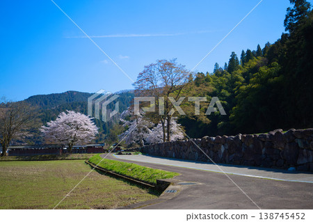 Springtime at the Ichijōdani Asakura Clan Ruins and Nishiyama Kōshōji Temple Site 138745452