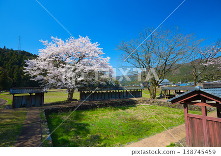 Springtime at the Ichijōdani Asakura Clan Ruins and Nishiyama Kōshōji Temple Site 138745459