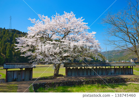 春日里的一丈谷朝倉藩遺址和西山興聖寺遺址 138745460